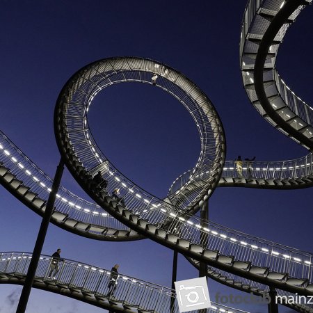 2025 Hombroich &amp; Düsseldorf - Bernd Nootbaar: &quot;Tigerturtle 1&quot;